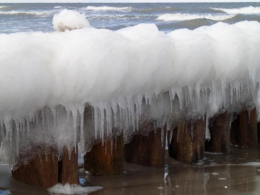 Glebbe 66 _ Hus Suennschien Daire Zingst Dış mekan fotoğraf