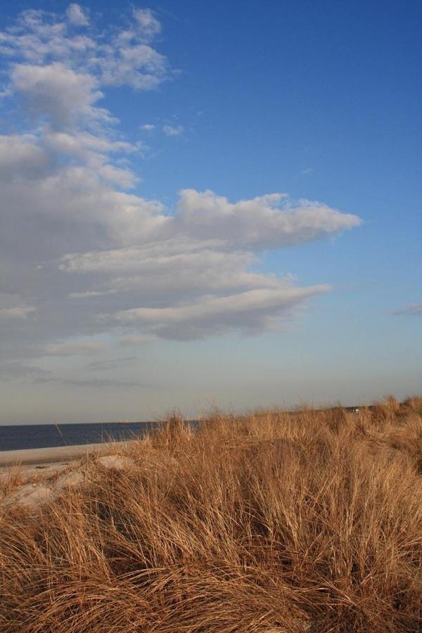 Glebbe 66 _ Hus Suennschien Daire Zingst Dış mekan fotoğraf